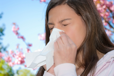 Blog - 4 Summer Allergy Relief Tips