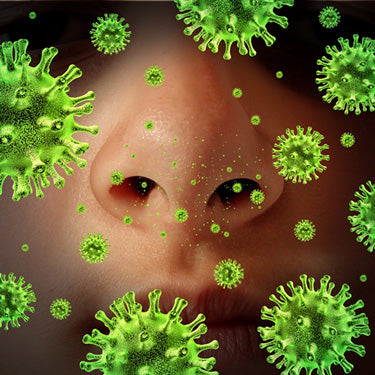 Blog - Summer Allergy Relief