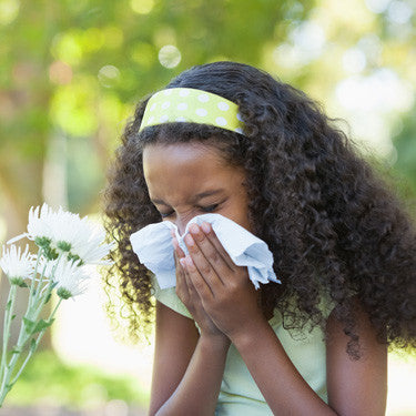 How To Get Rid of Spring Allergies