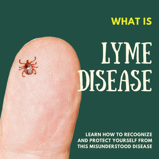 What is Lyme Disease