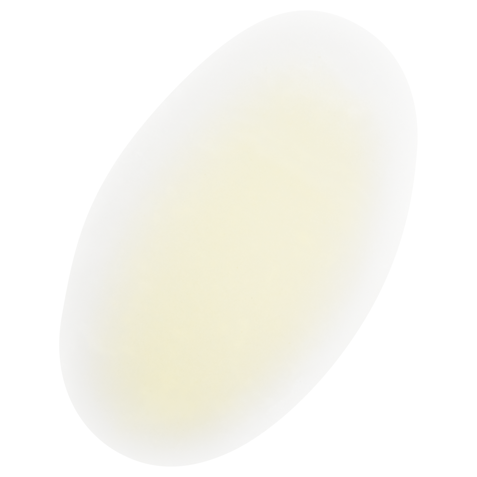 Compeed Blister Patches (12/Bx)