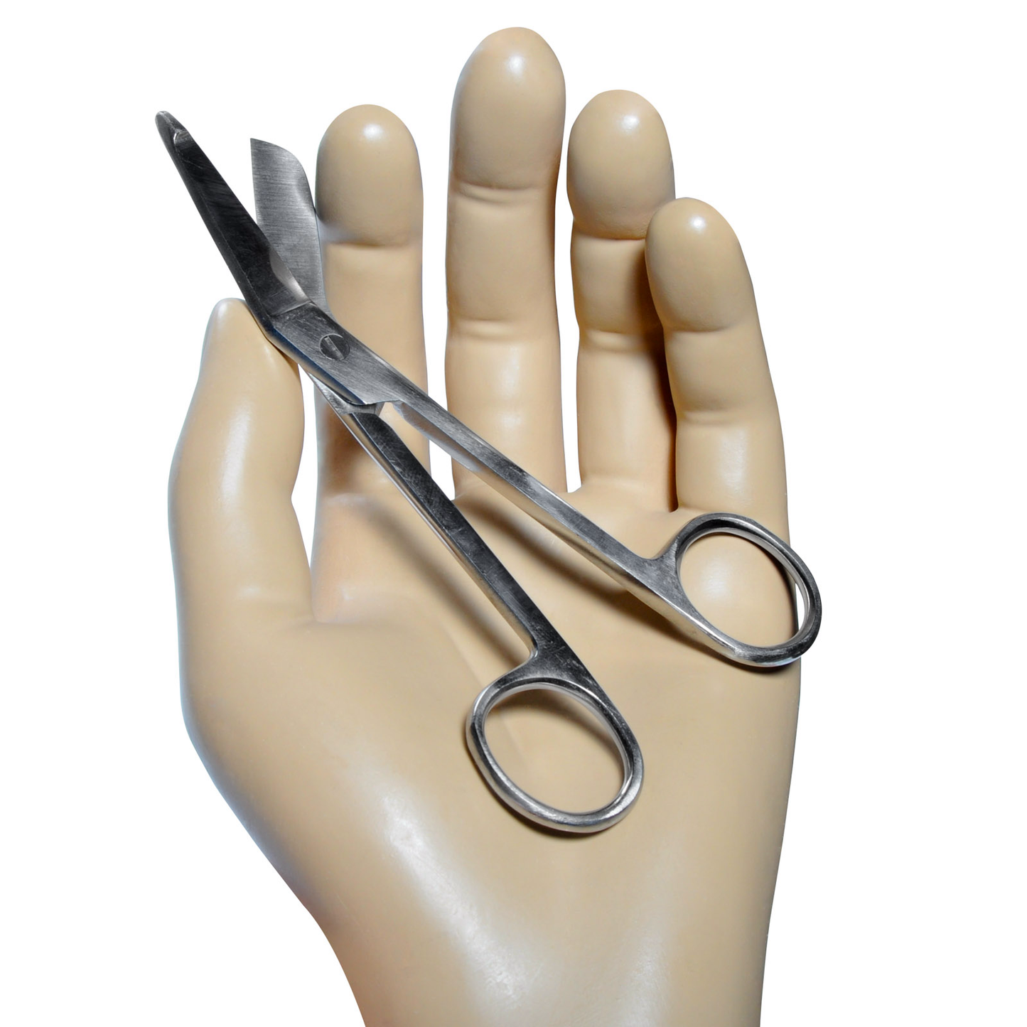 Lister Bandage Scissor Each