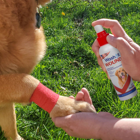 How to Use a Pet First Aid Kit: Tips for Handling Common Pet Emergencies