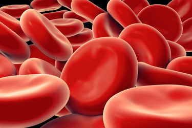 Blog - Bloodborne pathogens and the typical American worker
