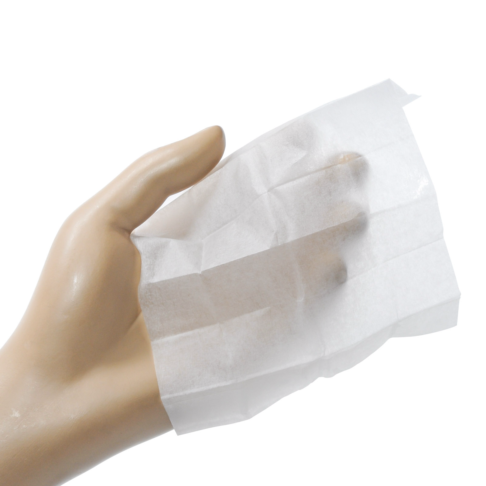 Paws Antimicrobial Wipes (10/Pk)